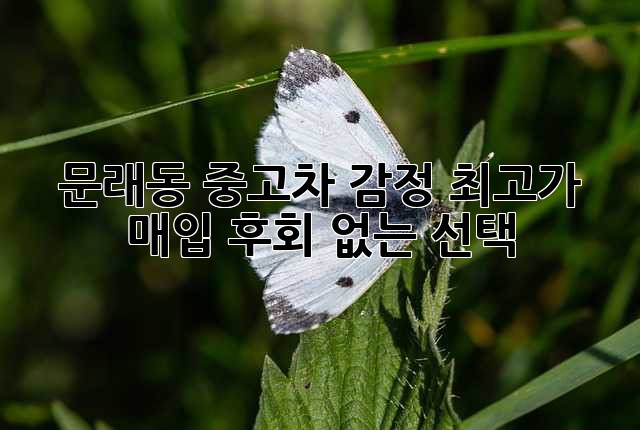 35a8059d4dc2a5c5cc9593e873d7c9bb.jpg