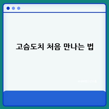 4e70479cbc894de502c7d1636aced4fb.jpg