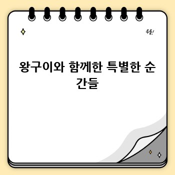 52ae02a830a1fdee01aea0fd383ca5cf.jpg