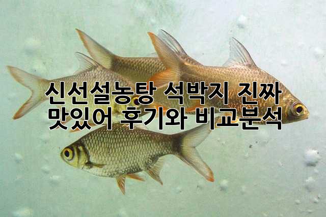 844cfe6b8d4bb916ca1c900f67cb1dec.jpg