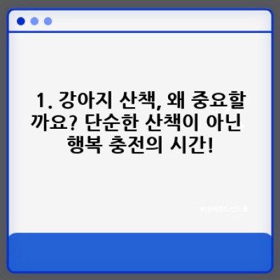 강아지 산책 완벽 가이드: 댕댕이 행복, 견주 만족 UP!