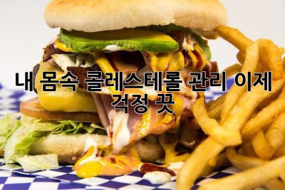 내 몸속 콜레스테롤 관리, 이제 걱정 끗!
