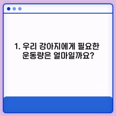 강아지 운동: 견종별, 나이별 맞춤 운동법 완벽 가이드