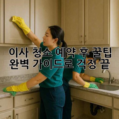 이사 청소 예약 후 꿀팁🍯: 완벽 가이드로 걱정 끝!