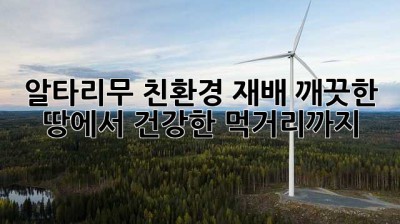 알타리무 친환경 재배: 깨끗한 땅에서 건강한 먹거리까지