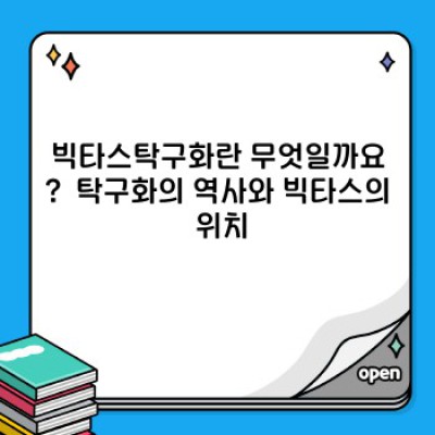 빅타스탁구화 요약정보 우선 확인: 종류, 선택 가이드, 장단점 비교 분석