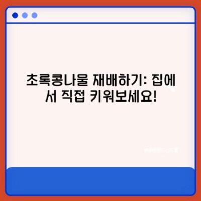 초록콩나물 완벽 가이드: 재배부터 요리까지 A to Z