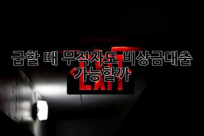 급할 때! 무직자도 비상금대출 가능할까? 😭