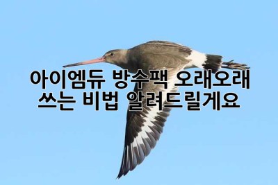 아이엠듀 방수팩, 오래오래 쓰는 비법 알려드릴게요!