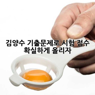 김양수 기출문제로 시험 점수, 확실하게 올리자!