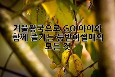 겨울왕국으로 GO! 아이와 함께 즐기는 등받이썰매의 모든 것