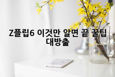 Z플립6, 이것만 알면 끝! 꿀팁 대방출 ✨