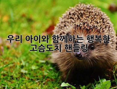 우리 아이와 함께하는 행복한 고슴도치 핸들링