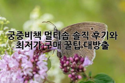 궁중비책 멀티솝, 솔직 후기와 최저가 구매 꿀팁 대방출! ✨