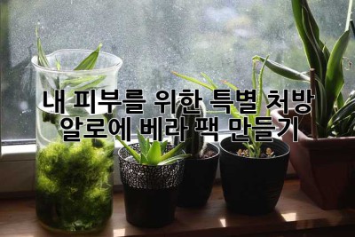 내 피부를 위한 특별 처방! 알로에 베라 팩 만들기🌿