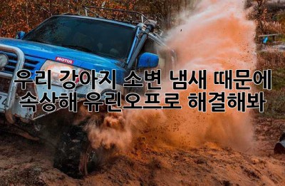 우리 강아지, 소변 냄새 때문에 속상해? 유린오프로 해결해봐!