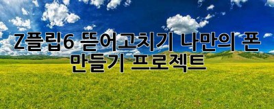 Z플립6 뜯어고치기: 나만의 폰 만들기 프로젝트!