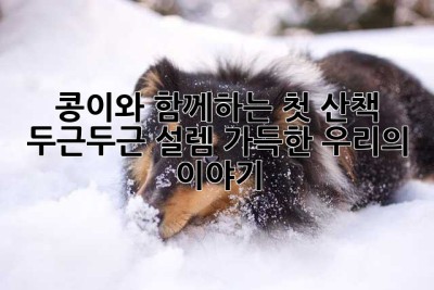 콩이와 함께하는 첫 산책, 두근두근 설렘 가득한 우리의 이야기🐶🐾