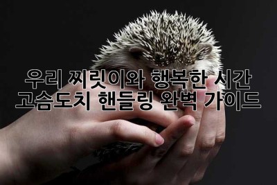 우리 찌릿이와 행복한 시간, 고슴도치 핸들링 완벽 가이드!