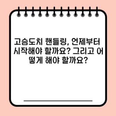 고슴도치 핸들링 완벽 가이드: 안전하고 행복한 교감을 위한 모든 것