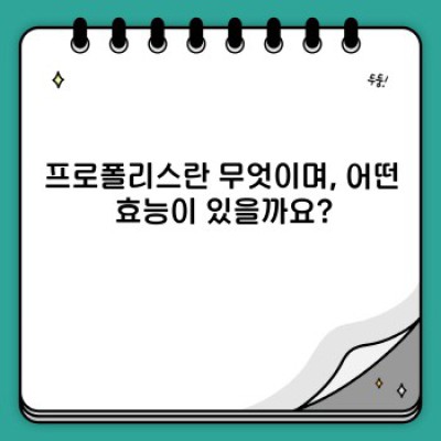 프로폴리스 효능: 궁금증 해소와 효과적인 활용법 완벽 가이드