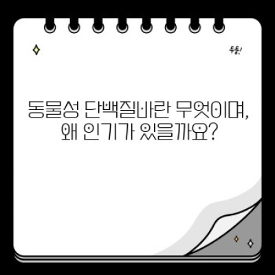 2024 최신 트렌드! 동물성 단백질바 완벽 가이드: 효과, 부작용, 선택 가이드까지!