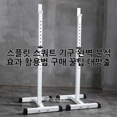스플릿 스쿼트 기구 완벽 분석: 효과, 활용법, 구매 꿀팁 대방출!