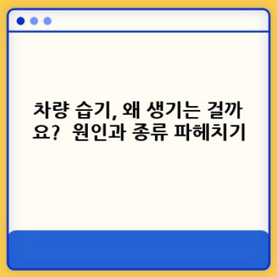 겨울철 습기 잡는 특급 비법! 차량습기 제거 완벽 가이드 (김서림, 곰팡이, 악취까지!)