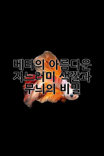 베타의 아름다운 지느러미: 색깔과 무늬의 비밀