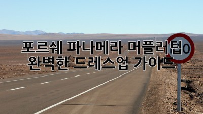 포르쉐 파나메라 머플러팁: 완벽한 드레스업 가이드