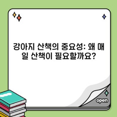 강아지 산책, 제대로 알고 즐기자!  궁금증 해결 완벽 가이드
