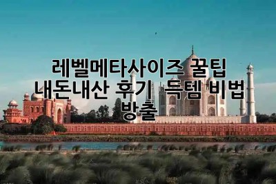 레벨메타사이즈 꿀팁🍯 내돈내산 후기 & 득템 비법 大방출!