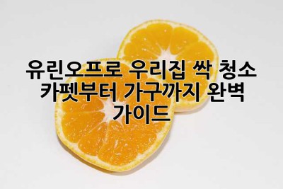 유린오프로 우리집 싹 청소! ✨ 카펫부터 가구까지 완벽 가이드