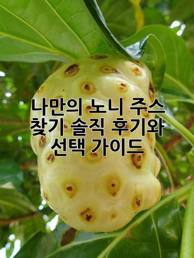 나만의 노니 주스 찾기: 솔직 후기와 선택 가이드