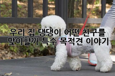 우리 집 댕댕이, 어떤 친구를 맞이할까? 특수 목적견 이야기🐶
