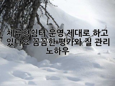 체류형쉼터 운영, 제대로 하고 있나요? 꼼꼼한 평가와 질 관리 노하우
