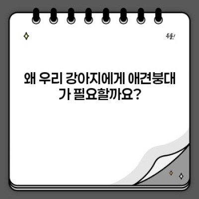 강아지 상처 케어의 필수품! 애견붕대 완벽 가이드: 종류, 사용법, 주의사항까지!