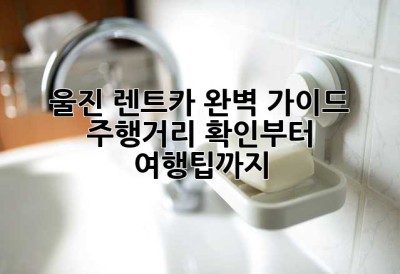 울진 렌트카 완벽 가이드: 주행거리 확인부터 여행팁까지!