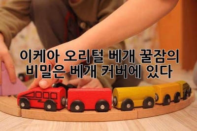 이케아 오리털 베개, 꿀잠의 비밀은 베개 커버에 있다?!