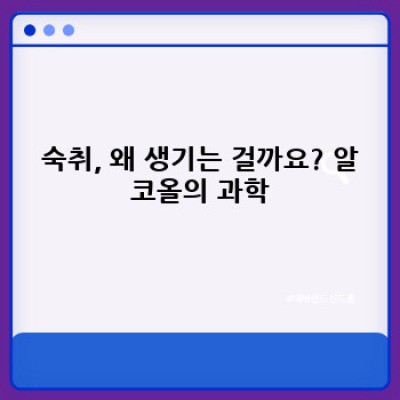 숙취 해소 완벽 가이드: 효과적인 방법 비교 & 나에게 맞는 최고의 선택