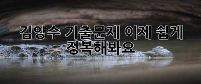김양수 기출문제, 이제 쉽게 정복해봐요!