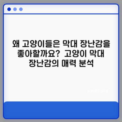냥이들의 사냥 본능 자극! 고양이 막대 장난감 최고의 선택 가이드: 종류, 선택법, 안전 사용법까지!