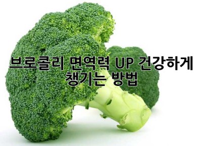 브로콜리 면역력 UP! 건강하게 챙기는 방법