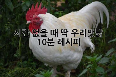 시간 없을 때 딱! 우리맛닭 10분 레시피 ✨