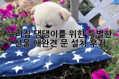 우리집 댕댕이를 위한 특별한 선물🎁 애완견 문 설치 후기