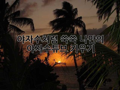 야자수처럼 쑥쑥! 나만의 야자수튜브 키우기 🌴