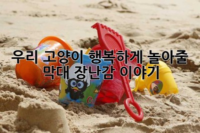 우리 고양이, 행복하게 놀아줄 막대 장난감 이야기