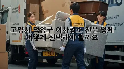 고양시 덕양구 이사청소 전문 업체, 어떻게 선택해야 할까요?