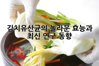 김치유산균의 놀라운 효능과 최신 연구 동향