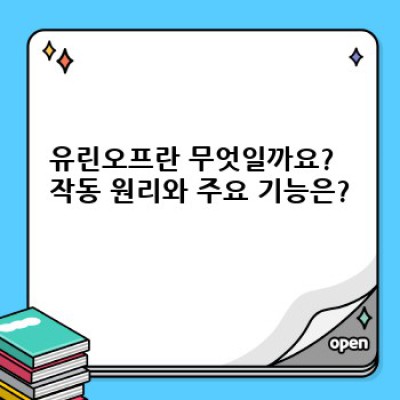 유린오프 완벽 가이드: 기능, 사용법, 그리고 역사까지!